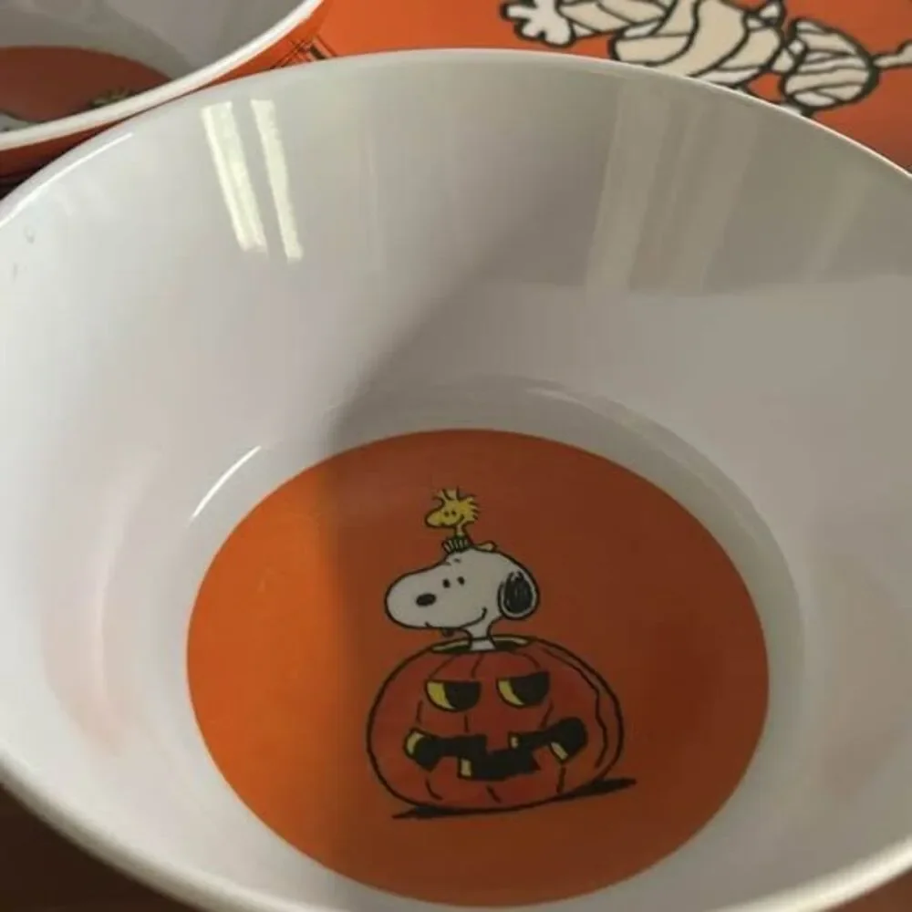 Pottery Barn Peanuts Snoopy Halloween Plate and Bowl 4 set (8 total) Melamine
